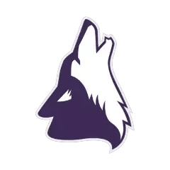 College of Idaho mark